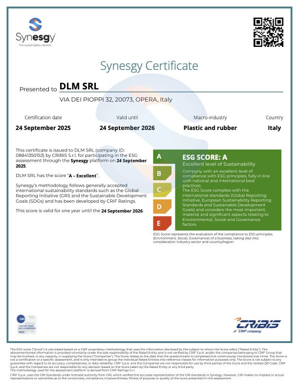 SurveyCertificate_DLM SRL_24_09_2025-2 DLM Srl ESG Certificate