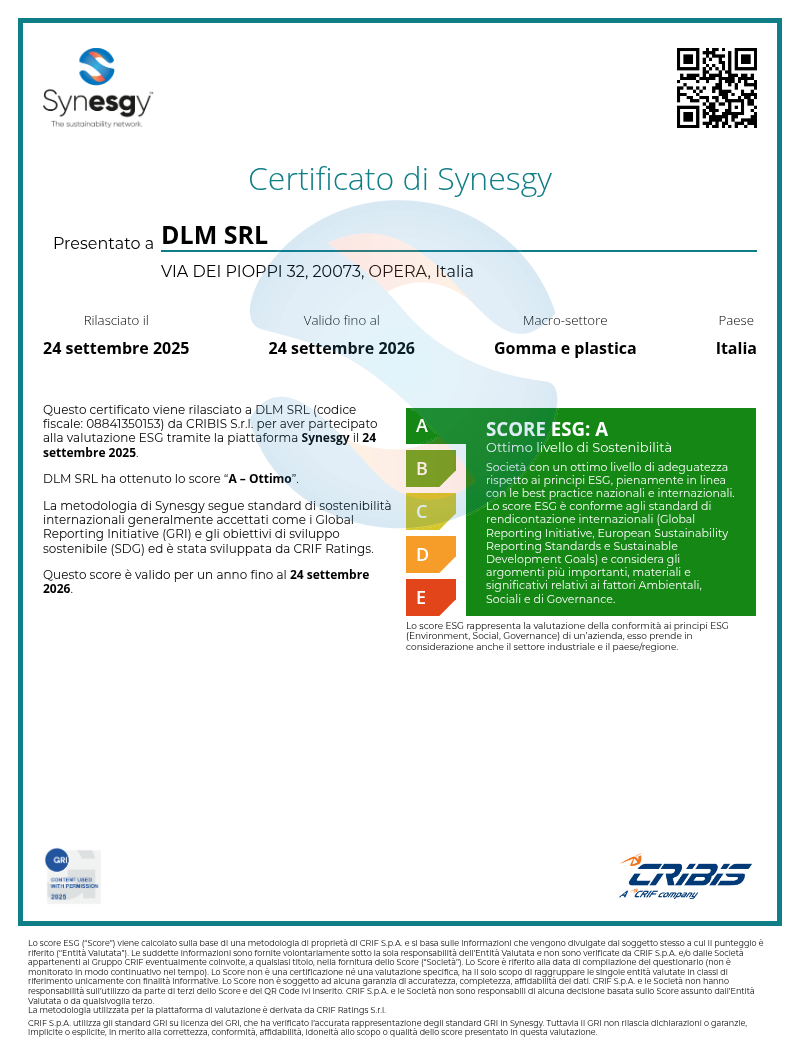 DLM Srl ESG Certificate